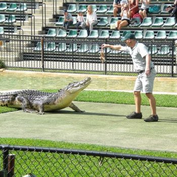 Australian Zoo